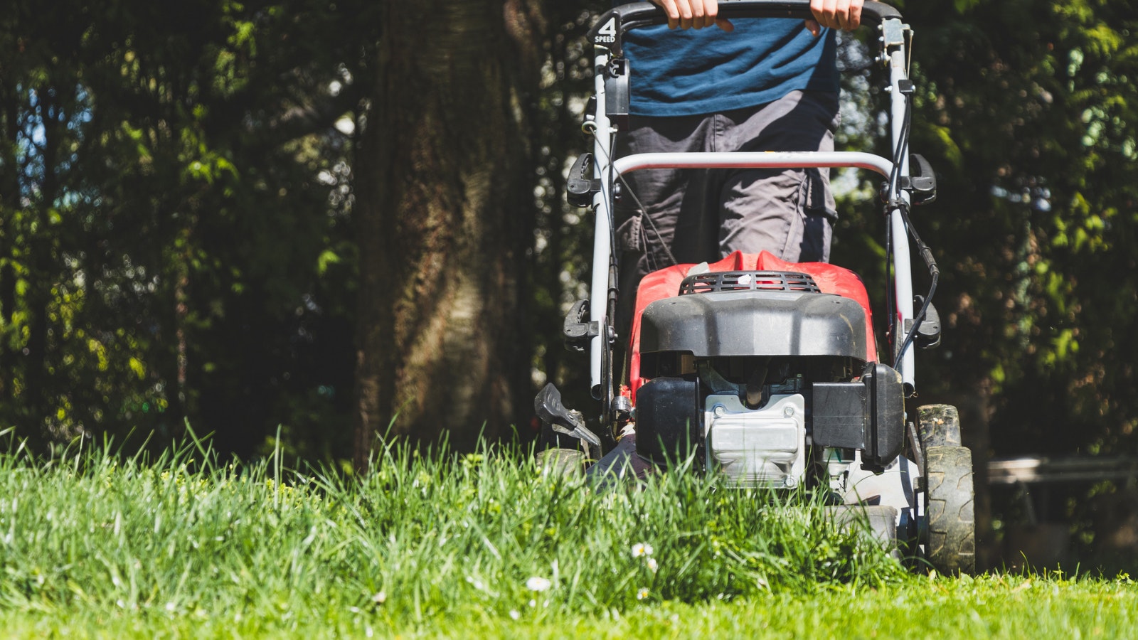 Petrol lawn mowers to make trimming larger gardens easy